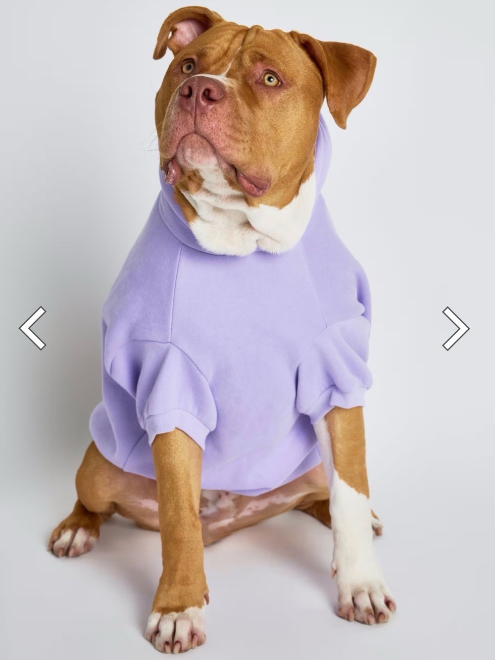 Cozy Lilac Dog Hoodie – Soft Pullover Pet Sweatshirt